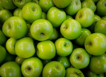 Shana Tova from Our Team!